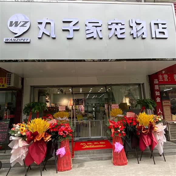 丸子家宠物屋:合肥市庐阳区凤台路大润发附近