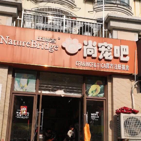 尚宠宠物店:合肥市庐阳区电子16所附近