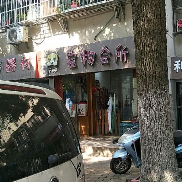 安娜宠物会所:合肥市庐阳区杏花公园附近