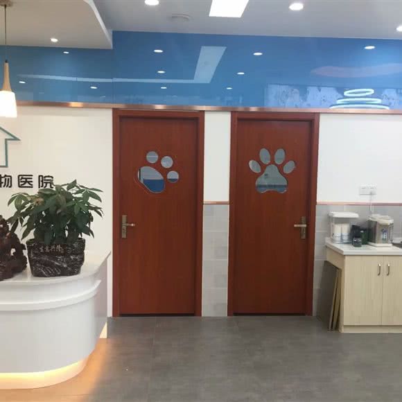 京诚宠物医院(西环店):合肥市蜀山区黄望潜/皖河支路附近