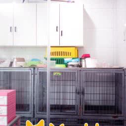 No.11宠物生活馆:合肥市蜀山区贵池路附近