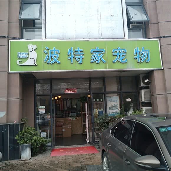 波特家狗狗:合肥市蜀山区1912街区附近