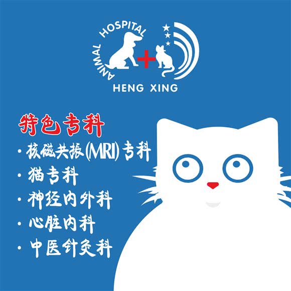 恒幸动物医院(蜀山区分院):合肥市蜀山区十里庙附近