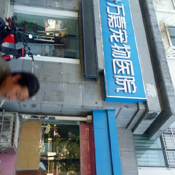 万嘉宠物医院:合肥市蜀山区十里庙附近