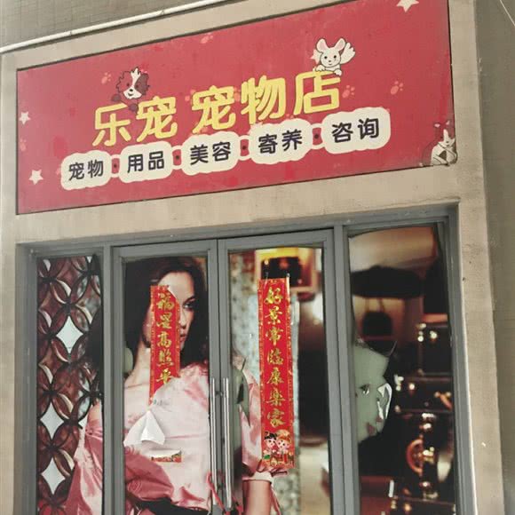 乐宠宠物店:合肥市蜀山区凤凰城附近