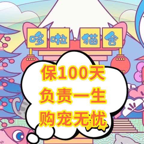 哆啦猫舍:北京城区昌平区沙河附近