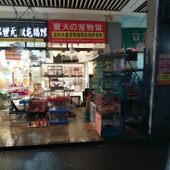 夏天の宠物馆:合肥市蜀山区南七里站附近