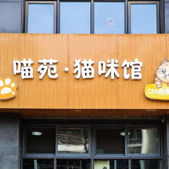 喵苑·猫咪馆(皖河路店):合肥市蜀山区南七里站附近