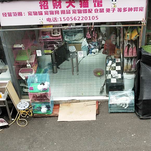 招财犬猫馆:合肥市蜀山区南七里站附近