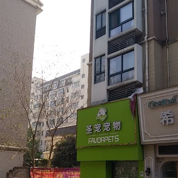 圣宠宠物(奥林花园店):合肥市蜀山区清溪路大润发附近