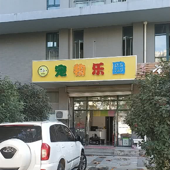 宠物乐园:合肥市蜀山区摩尔广场附近