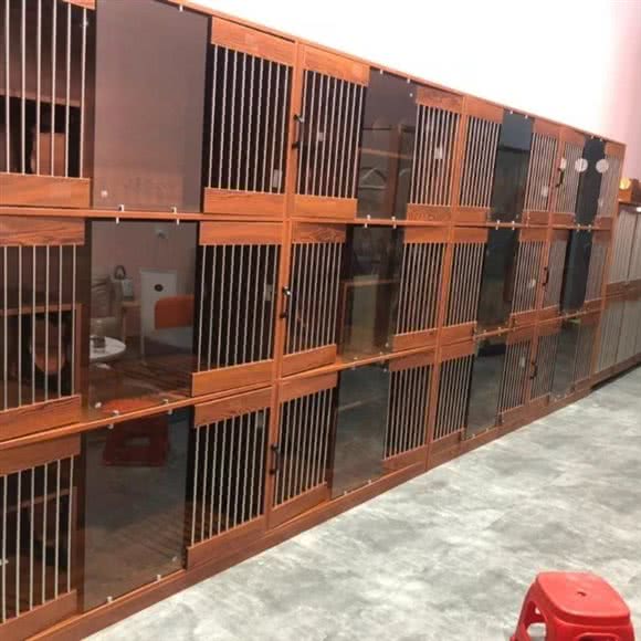 猫狗专卖店(蜀山区天玥中心店):合肥市蜀山区天玥中心附近