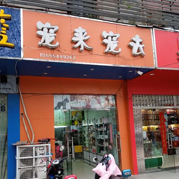 宠来宠去:合肥市包河区万达广场附近