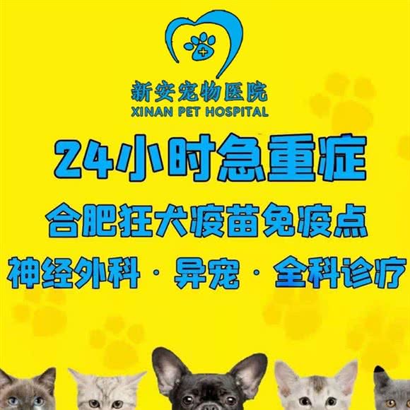 新安宠物医院·24H(包河万达店):合肥市包河区万达广场附近