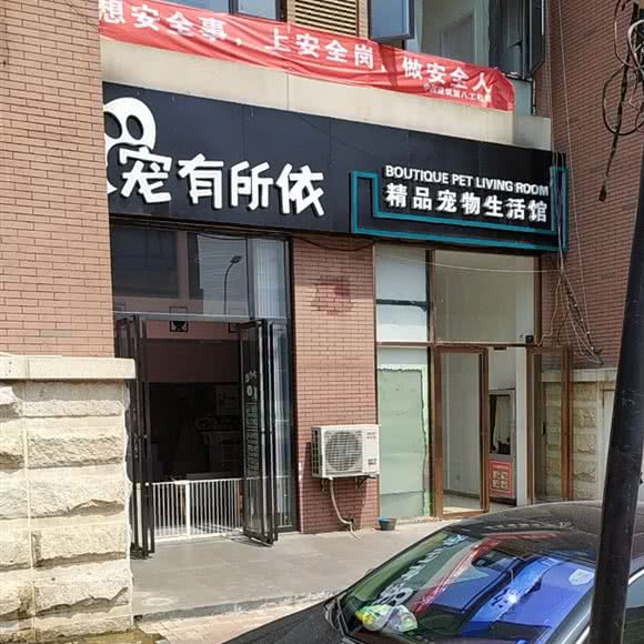 宠有所依:合肥市包河区南二环路附近