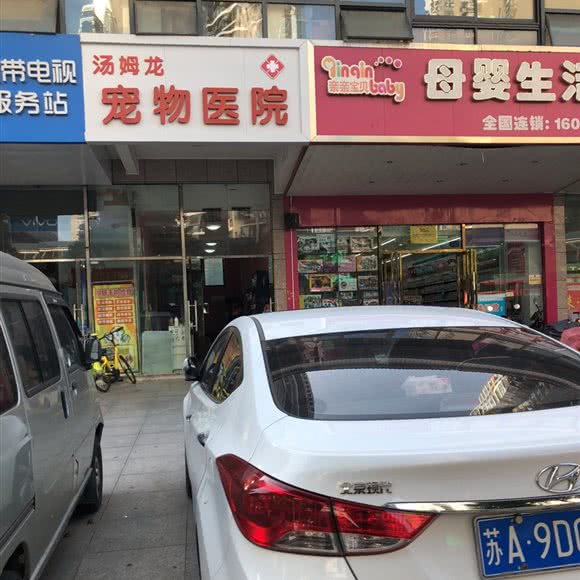 汤姆龙宠物医院:合肥市包河区滨湖世纪城附近