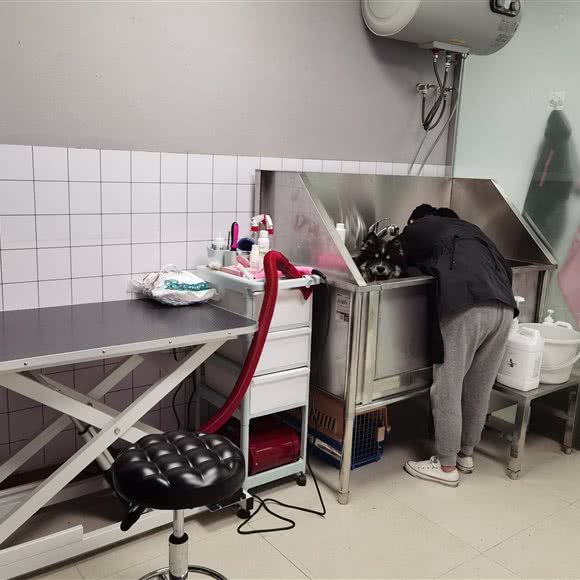 它晓宠物:合肥市包河区宁国路商业区附近