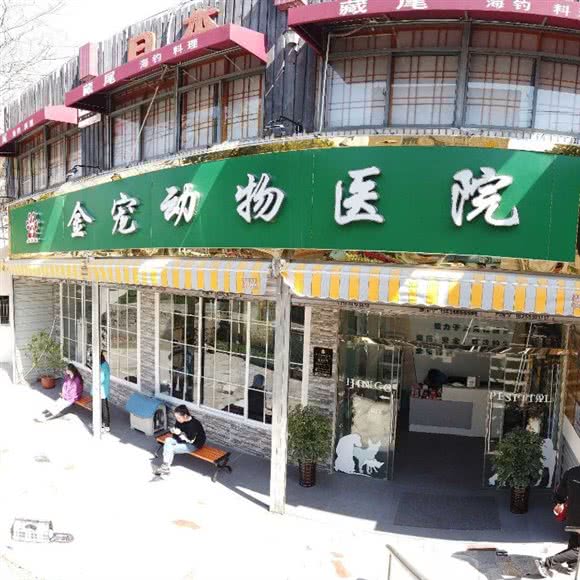 金宠动物医院:合肥市包河区宁国路商业区附近
