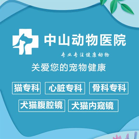 中山动物医院(太湖路店):合肥市包河区宁国路商业区附近