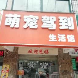 萌宠驾到生活馆:合肥市包河区九华山路附近