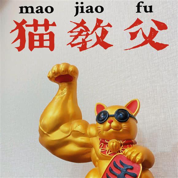 猫教父·撸猫·猫咖:合肥市包河区九华山路附近