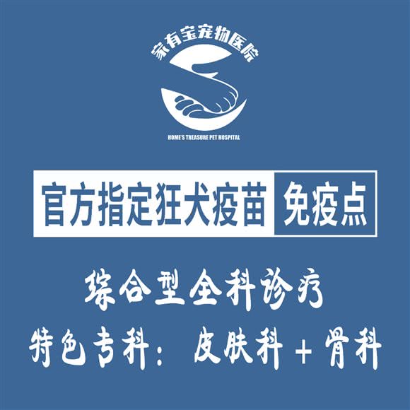家有宝宠物医院(九华山路店):合肥市包河区九华山路附近