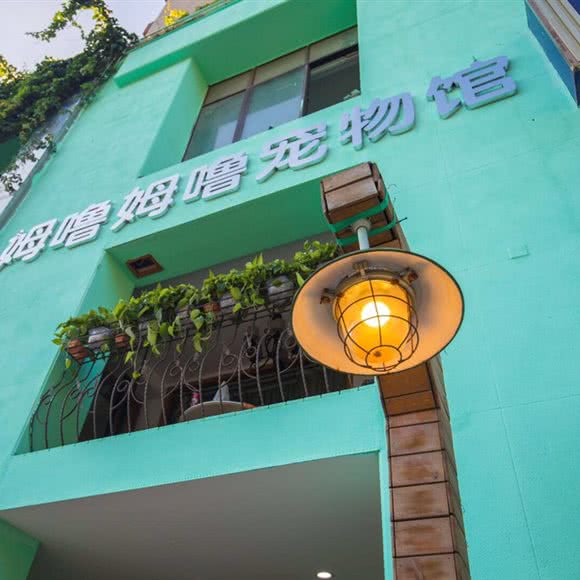 姆噜姆噜宠物空间:合肥市包河区徽州大道附近