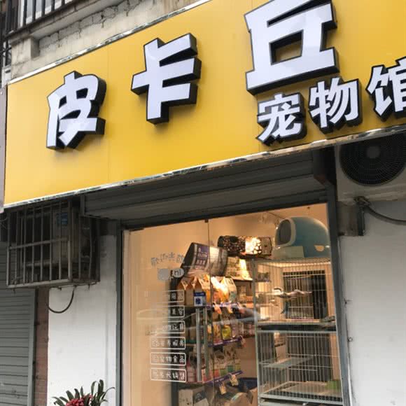 皮卡丘宠物馆:合肥市包河区太湖路附近