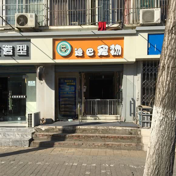迪巴宠物:合肥市包河区太湖路附近