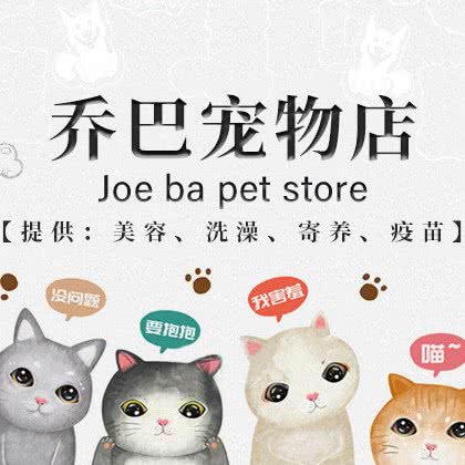 乔巴宠物狗·萌宠专售:合肥市包河区新都会家乐福附近