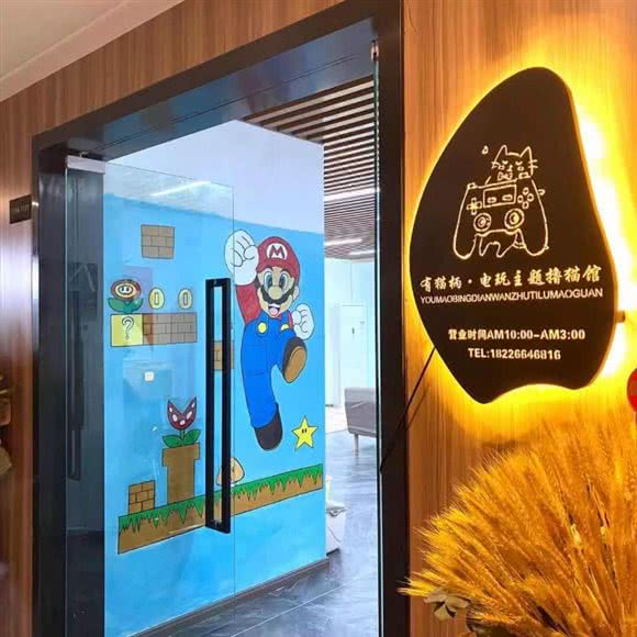 有猫柄·电玩主题撸猫馆·猫咖:合肥市包河区滨湖文化旅游城附近