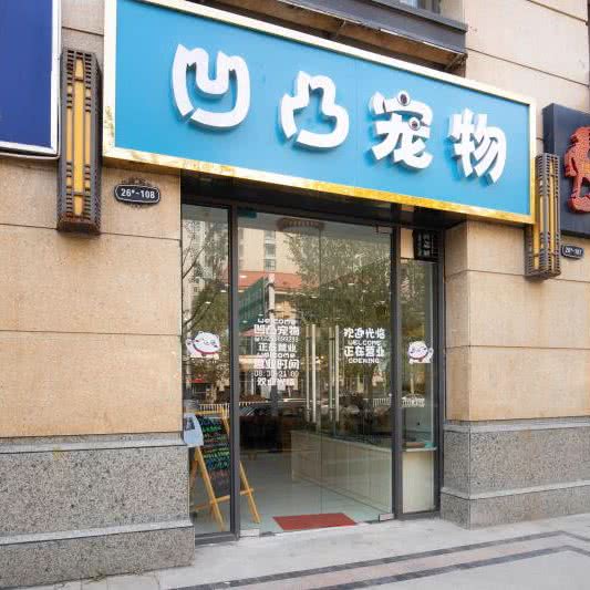 凹凸宠物:合肥市包河区高速滨湖时代广场附近