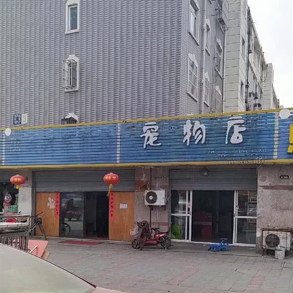 宁夏路咖啡店:合肥市包河区包河苑附近