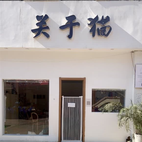 关于猫纯布偶猫咖:合肥市包河区马鞍山路附近