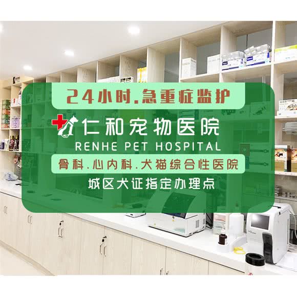 仁和宠物医院(马鞍山路店):合肥市包河区马鞍山路附近