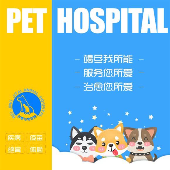 吉泰动物诊所(白各庄店):北京城区昌平区沙河附近