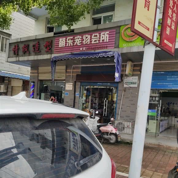 萌乐宠物会所:合肥市肥东县店埠镇附近