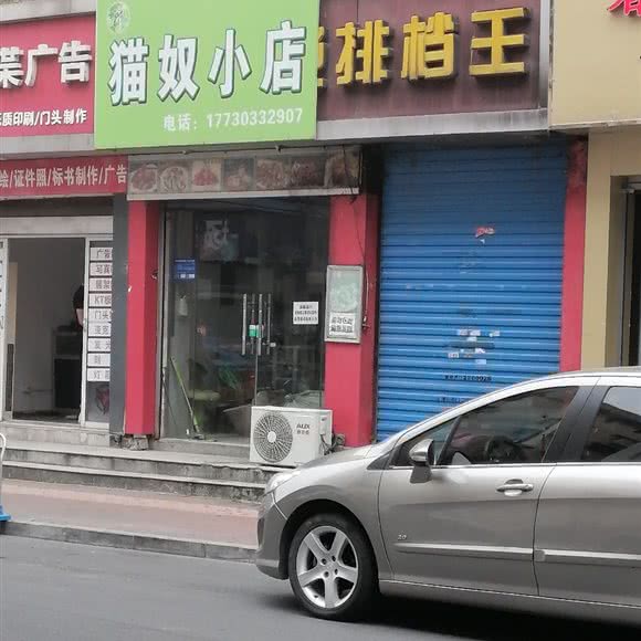 猫奴小店:芜湖市镜湖区步行街附近