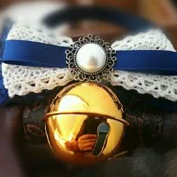 万达宠物:芜湖市镜湖区万达广场附近