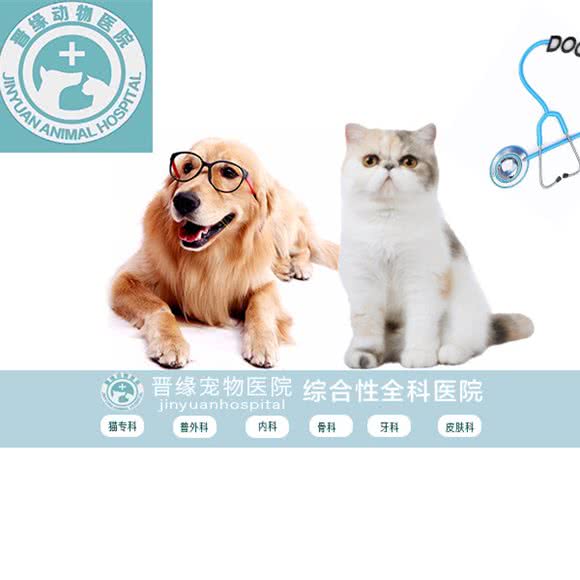 晋缘宠物医院24小时:芜湖市镜湖区银湖路欧尚附近