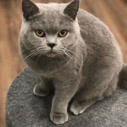 怪兽大学:芜湖市镜湖区青山街附近