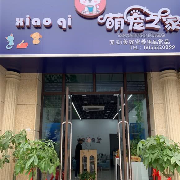 XiaoQi萌宠之家:芜湖市鸠江区东部星城/南翔万商附近