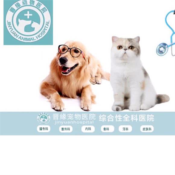 晋缘宠物医院(城东分院):芜湖市鸠江区万科城附近