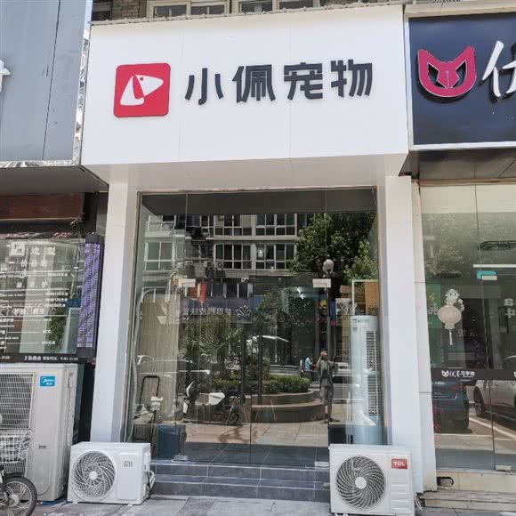 小佩宠物狗:芜湖市弋江区新时代商业街附近