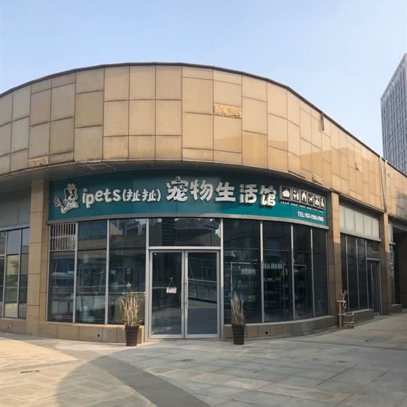 扯扯宠物生活馆:芜湖市弋江区中央城财富街附近