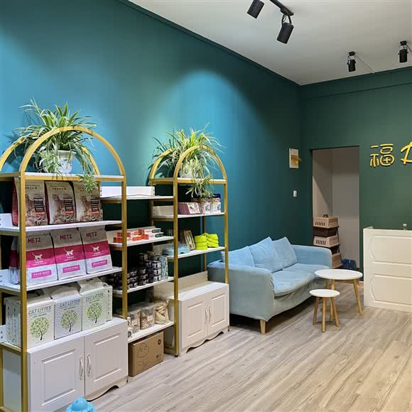 福丸猫舍:芜湖市弋江区鲁港新镇附近