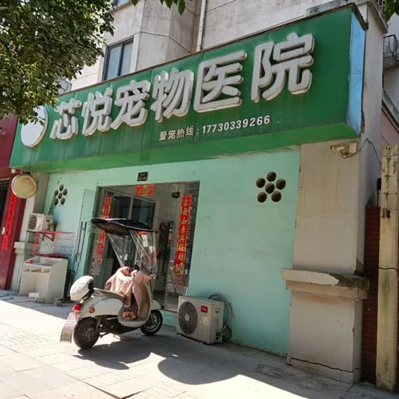 芯悦宠物医院:芜湖市湾沚区湾沚区附近