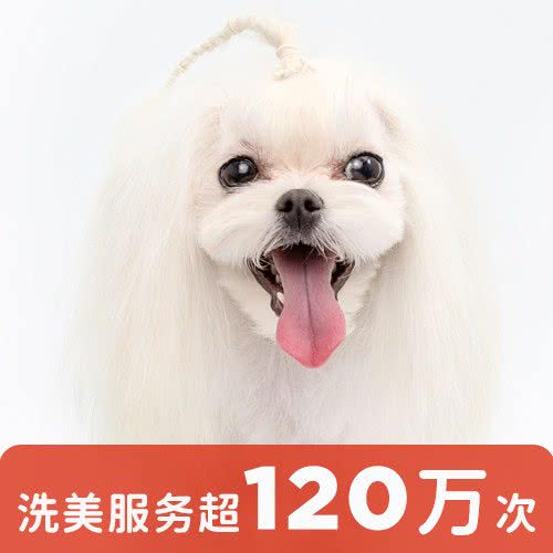 宠物家(望京保利店):北京城区朝阳区望京附近