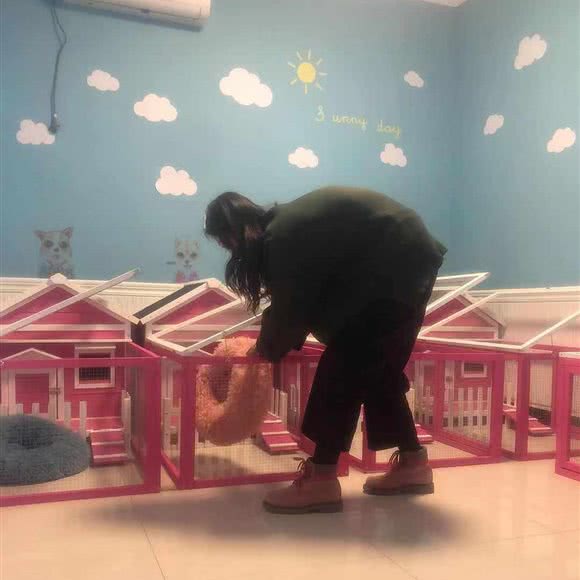 宠之居宠物寄养宠物民宿:北京城区昌平区十三陵水库附近