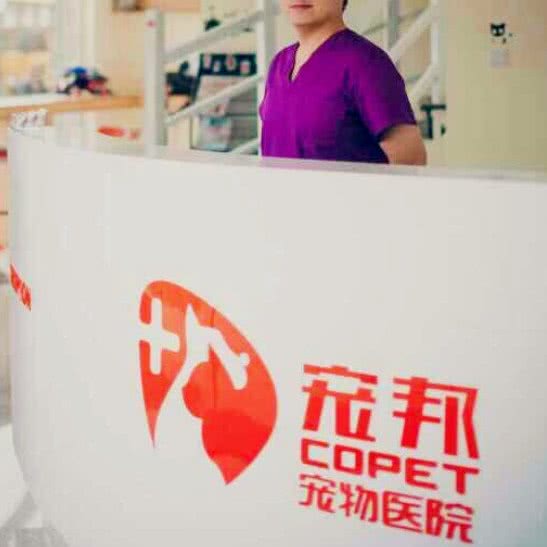 繁昌县宠邦宠物诊所:芜湖市繁昌区繁昌区附近